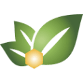 Aromatici